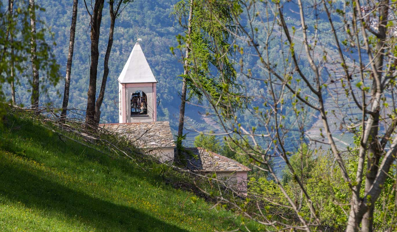 Scorcio della Chiesa di San Omobono a Carona