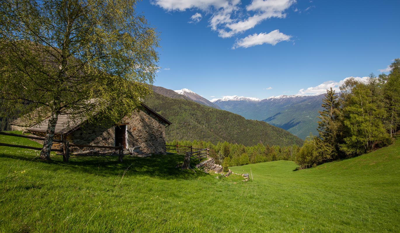 Vista sulla media Valtellina da Prato valentino