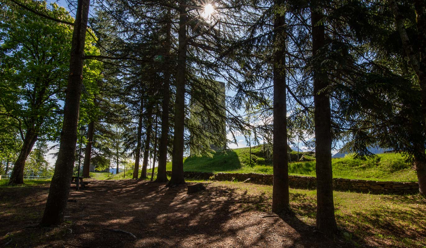 Pineta e Torre de li Beli Miri